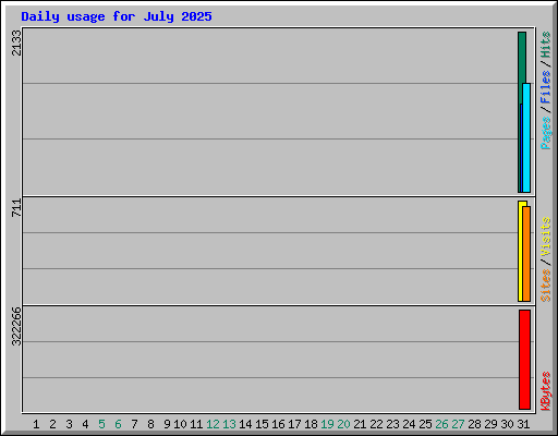 Daily usage for July 2025